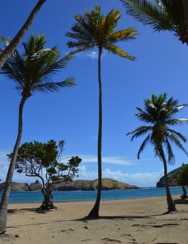 Strand „Plage de Pompierre“