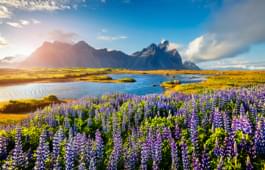 Island im Sommer