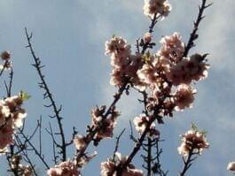 Blauer Himmel und Sonnenschein