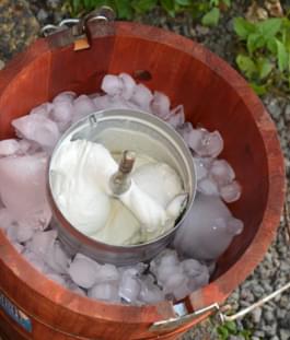 Selbstgemachtes Sorbet