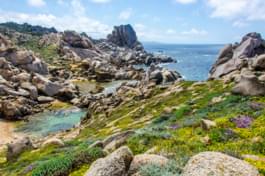 Capo Testa