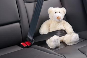 Teddy im Auto