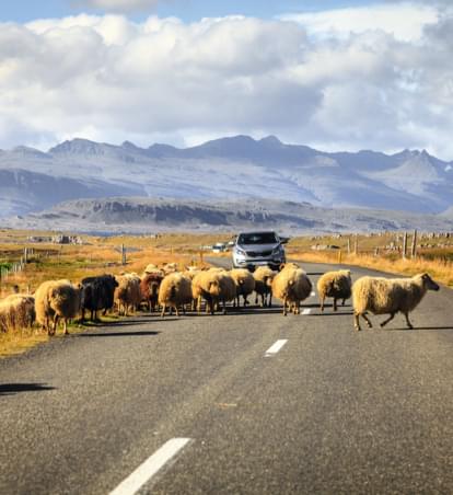 Mietwagen Island: Tipps gegen Kostenfallen