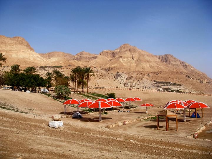 Ein Gedi