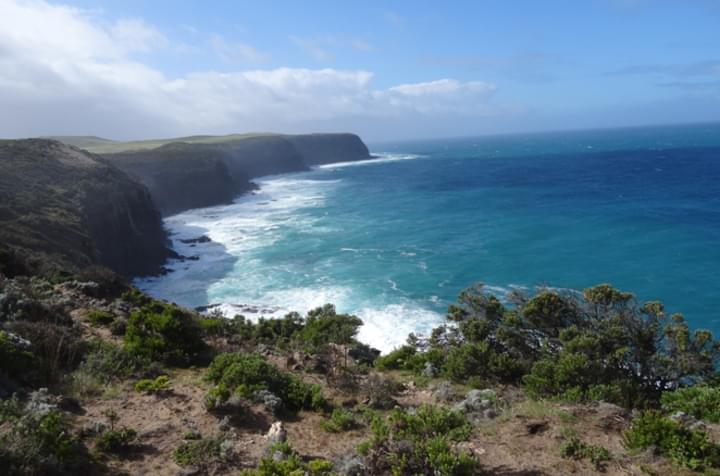Cape Bridgewater