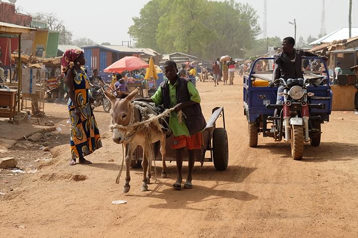 Water4Afrika Tiere in Afrika