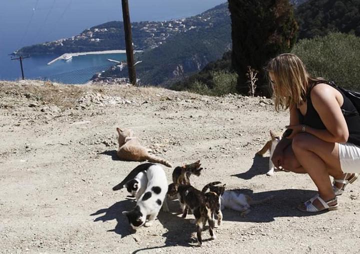 Frau mit Katzen in Kefalonia