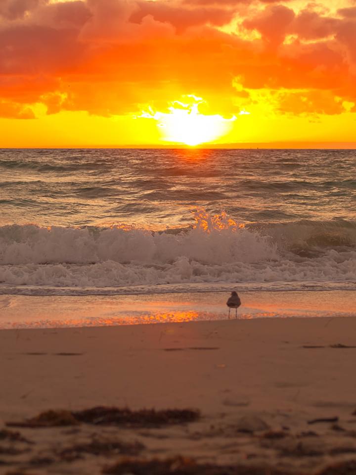 Sonnenaufgang Miami