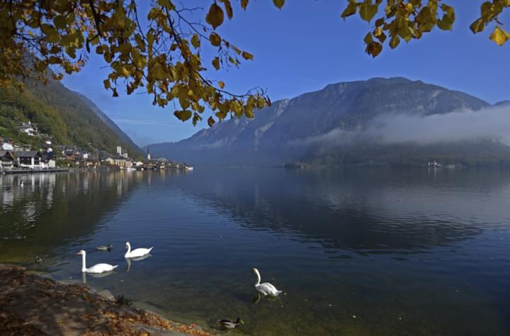Gmunden