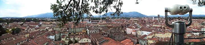 Aussicht vom Torre Guinigi in Lucca