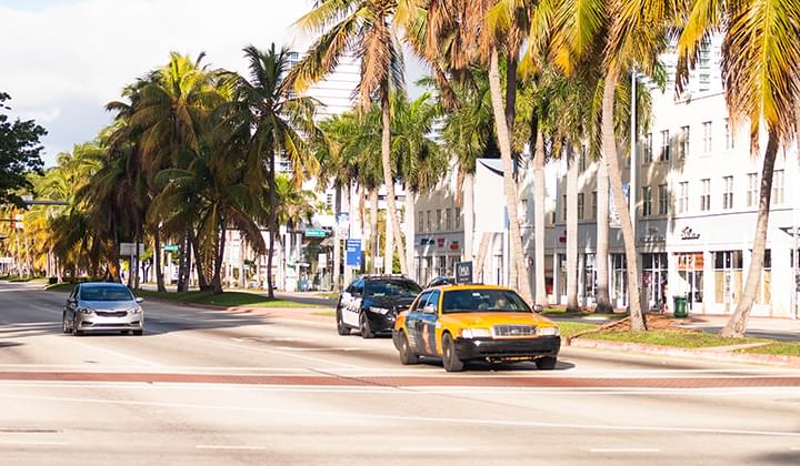 Straße mit Palmen in Miami