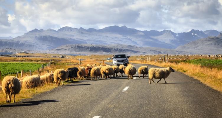 Mietwagen Island: Tipps gegen Kostenfallen