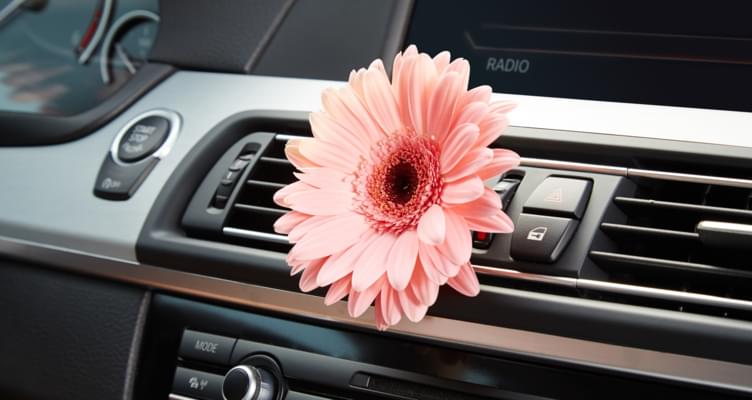 Langweilig war gestern: Ausgefallene Accessoires fürs Auto
